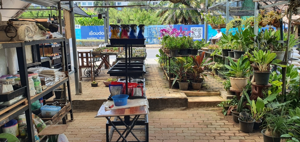 Indoor and outdoor plant displays at Thip Garden Phuket, a popular gardening shop in Phuket