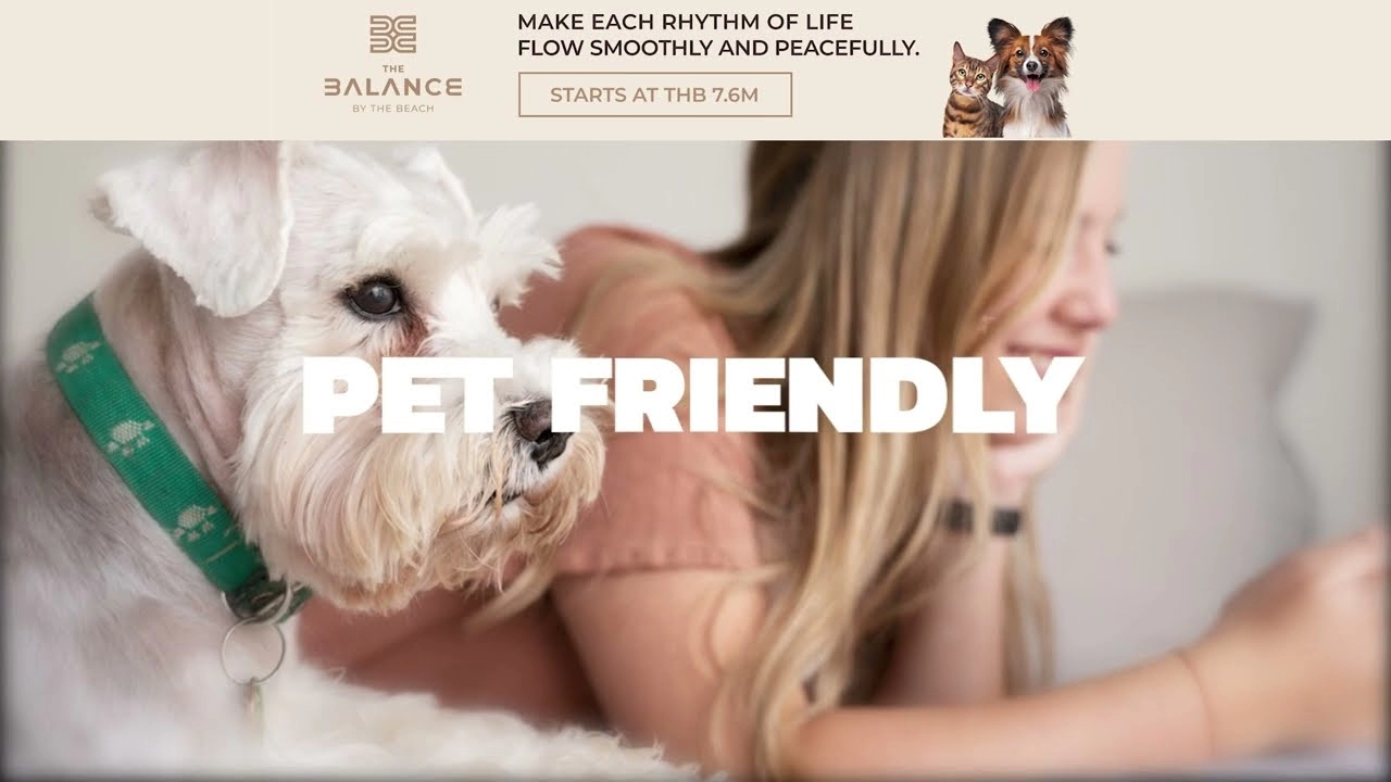 Dog and woman relaxing at The Balance by the Beach, a pet friendly condo