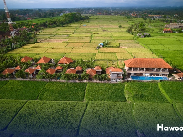 Bali villa aerial view surrounded by rice fields showing property investment in Southeast Asia and currency risk factors